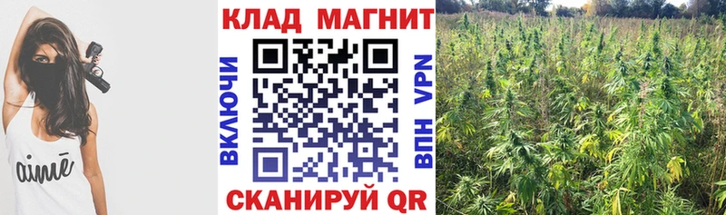 Где купить наркотики Заречный Амфетамин Меф ГАШИШ МДМА А ПВП