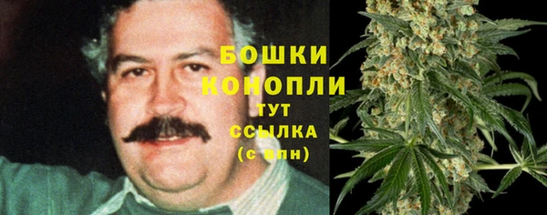 гидропоника Балабаново