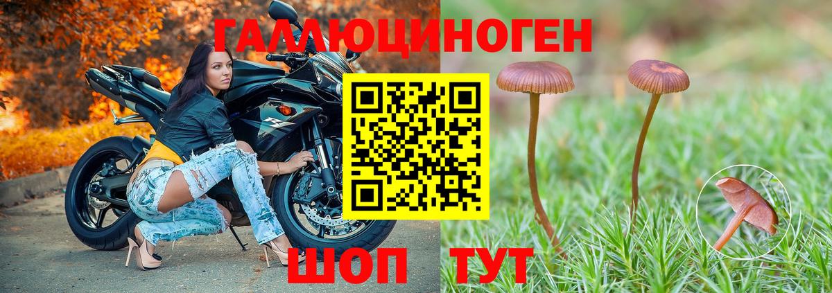 Псилоцибиновые грибы мицелий  Вход с VPN  Заречный  Галлюциногенные грибы ЛСД 